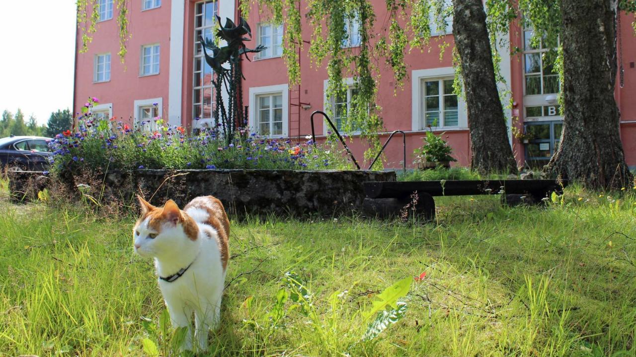 Vanha Koulu Suolahti Exterior foto