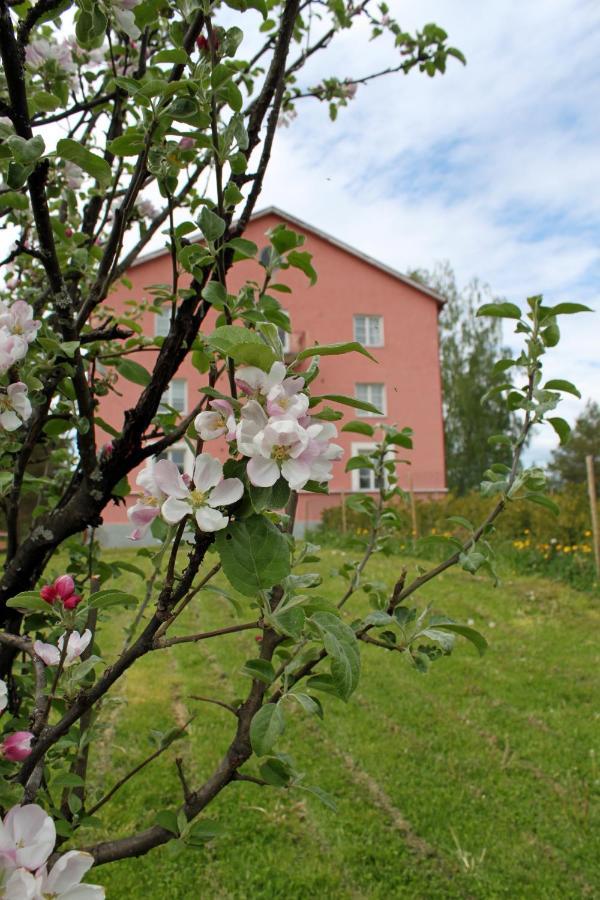 Vanha Koulu Suolahti Exterior foto